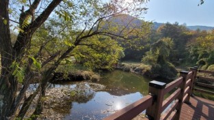 권기창 국민의힘 안동시장 예비후보