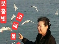 천재시인이자 싱어송라이터 오선장 13번째 "분홍빛 고래불 엘레지 "