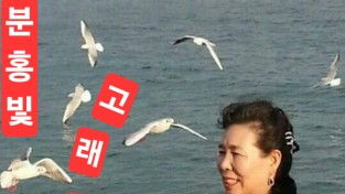 천재시인이자 싱어송라이터 오선장 13번째 "분홍빛 고래불 엘레지 "