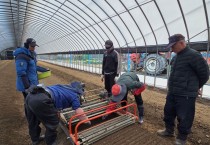 예천군, ‘내재해형 인삼 이중구조하우스’ 활용한 인삼 정식 실시