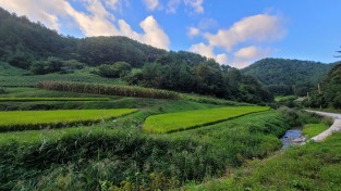울진금강송 산지농업, ‘FAO 세계중요농업유산 인증서’ 수여