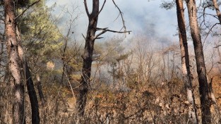 봉화군 재산면 산불 진화율 80% 보여
