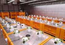 안동시, ‘헴프 원료의약품’ 제조․수출기반 조성 추진