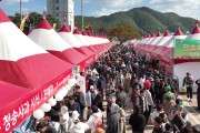 제19회 청송사과축제, 사과판매부스 매출 10억 원 돌파