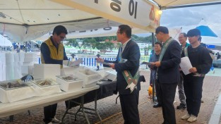 제29회 봉화송이축제‘송이버섯 원산지표시 지도점검’ 실시