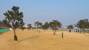 안동시, 2026년부터 파크골프장 시 직영 운영