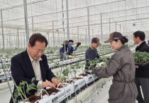봉화군, ‘임대형 스마트팜단지’ 본격영농 착수
