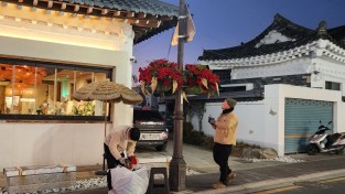 경주시, 겨울꽃 식재로 도심 가로환경 새단장