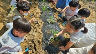 경북교육청, 김천 율빛유치원 방과후 과정 우수기관 선정...교육부장관상 수상