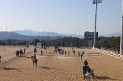 상주시 제1회 마당제(馬堂祭) 승마대회 개최