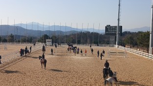 상주시 제1회 마당제(馬堂祭) 승마대회 개최