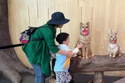 구미시  장애인복지 567억 투입한 구미, 이동·돌봄·자립 정책 성과 가시화