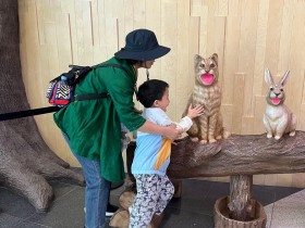 구미시  장애인복지 567억 투입한 구미, 이동·돌봄·자립 정책 성과 가시화