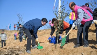 다시 피어나는 영덕, ‘별파랑 희망심기’ 개최