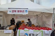 봉화군, 서울 강동구 설맞이 ‘친선도시 특산물 직거래장터’참가