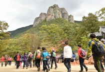 사계절 머무는 힐링도시 청송!