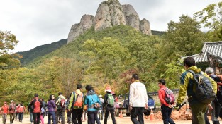 사계절 머무는 힐링도시 청송!