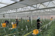 경북도, 농식품부 스마트농업 육성지구 지정 공모 선정