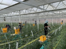 경북도, 농식품부 스마트농업 육성지구 지정 공모 선정