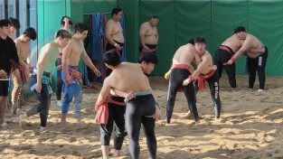 의성군, 국내 씨름단 동계 전지훈련 유치