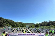 대우여객자동차(주)와 우리버스(주) 올겨울 김장해서 동네방네 팍팍 소외계층 나누어줄 김장배추5,000포기 무5,000개 심기