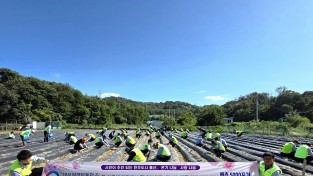 대우여객자동차(주)와 우리버스(주) 올겨울 김장해서 동네방네 팍팍 소외계층 나누어줄 김장배추5,000포기 무5,000개 심기