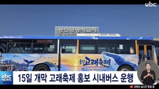 울산고래축제기념 진짜 고래버스 운행 장안의 화제