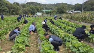 올겨울 김장해서 독거노인 및 소녀,소년 가장에게 줄 김장배주 묶기 작업