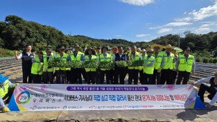 시내버스기사님이 배추와 무우 각각5,000포기 심고 가꾸고 김장해서 온기나눔 할 배추심기