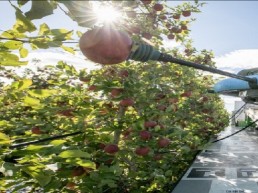 포천 시 70년 희생의 시간을 넘어 경제특구로 도약