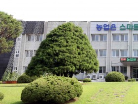 경기도 농업기술원 벼 발아율 저하대비 안전 육모 지원 확대