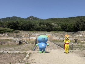 한탄강 가든 페스타 부터 회암사지 세계유산 등재 추천까지