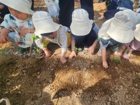 손에 흙을 마음에 초록을,  포천시