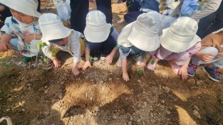 손에 흙을 마음에 초록을,  포천시