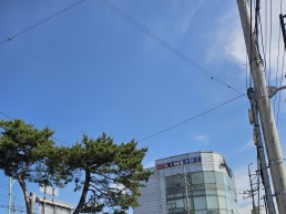 경기도 여성 생산 연령 인구 비중 감소