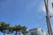 민선 8 기  축적된 성과 바탕으로  민선 9 기 준비해주길 바라며