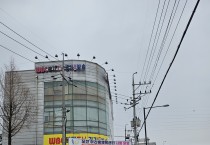 포천시 100 세 건강도시 실현 위한 흙 향기길 조성