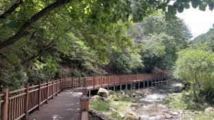 경기도 여름휴가철 가볼만한 자연공원  7곳  추천