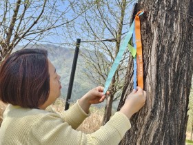 걷기좋은 명품길 한탄강 주상 절리길 관광객 맞이 단장 와료