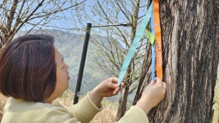 걷기좋은 명품길 한탄강 주상 절리길 관광객 맞이 단장 와료