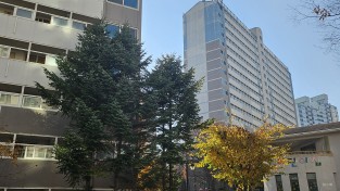 경기도 2026년 최중증 발달장애인 가족돌봄 사업 신규대상자 모집