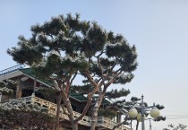 경기도 전 시 . 군 한파특보에  6일 오후 1시부터 비상 1단계 가동