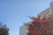 포천시  부모~자녀 함께하는 자세교정 성장지원 프로그램 운영