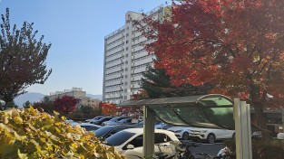 포천시  부모~자녀 함께하는 자세교정 성장지원 프로그램 운영