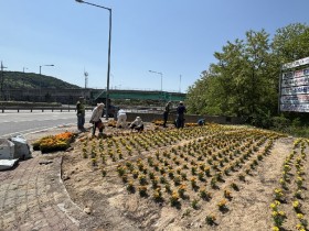 포천시 소흘읍 주요거점 꽃길 조성