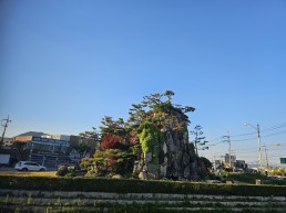 포천시 지방세입 체납관리단 기간제근로자 채용