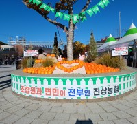 [광양시] 제3회 광양대봉감축제, 감수확 30% 감소에도 뜨거운 열기… 현장에서 본 진짜 ‘가을 축제’