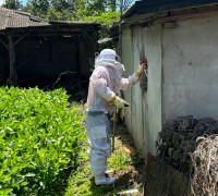 경남소방본부, 위험 커지기 전 ‘싹’ 자른다.  ‘벌집 사전 제거 신고제’로 도민 안전 확보