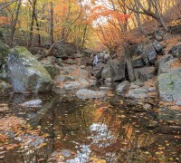 [광양시] 백운산 등산로 6코스,  "걷고 싶은 전남숲길"로 선정