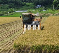 [광양시] 올해 첫 벼 수확… 정인화 광양시장 “식량 안보와 농가소득 증대에 최선 다할 것”